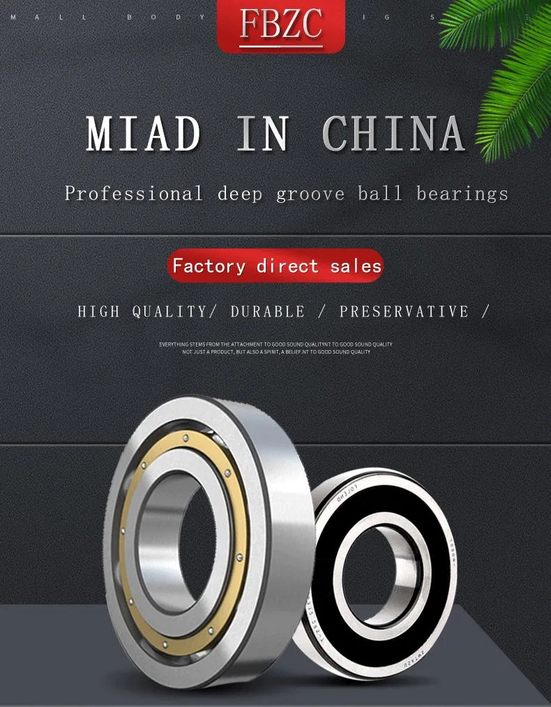 Auto Parts Single Raw Deep Groove Ball Bearing 6000 6002 6004 6006 6200 6202 6204 6206 Motorcycle Parts Deep Groove/Pillow Block/Insert